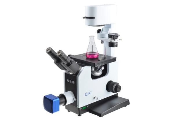 Cheap Biological Trinocular Inverted Optical Microscope 25X Phase Contrast Objective for sale
