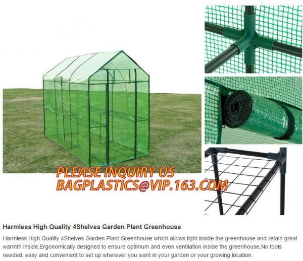 Film Covering Tomato Planting Greenhouse,Tomato Greenhouse film, Plastic Polyethylene sheet 6 mil 4 year UV Resistant cr