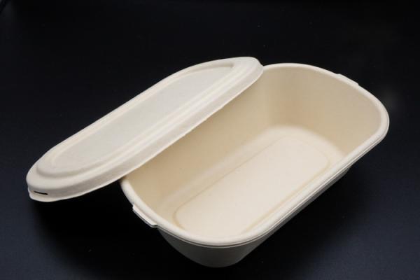 Cheap Bento Biodegradable Disposable Dinnerware Salad Compostable Takeaway Container for sale