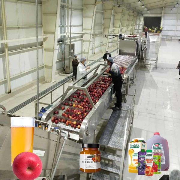 Cheap 10 - 100T/D SUS 304 Automation Apple Juice Processing Line Turnkey Projects for sale