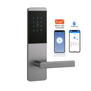 WiFi Digital Intelligent Door lock with Password Code Card Tuya TTlock App Keyless Smart Locks