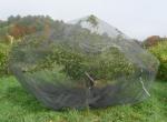 Fruit Trees Protection Insect Mesh Netting Anti Aphid Mesh Net High Tensile