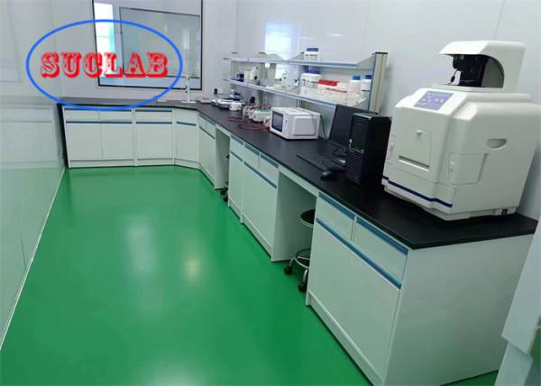 Cheap Epoxy Resin Lab Wall Bench Hong Kong with Non Welded Linear Handle Storage for sale