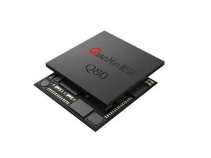Iris Ic Chip Identification ARM Cortex M4 Phaselris 2.0 recognition algorithm