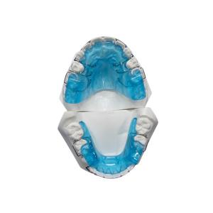 Best Dental CE FDA ISO Certified Orthodontic Technology Easy Maintenance Durable wholesale
