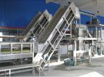 Pineapple And Mango Processing Machine 5T/H Schneider Electronic Control