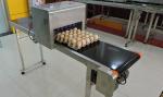 High Speed Dates Or Logo Egg Printing Machine With Computer Control