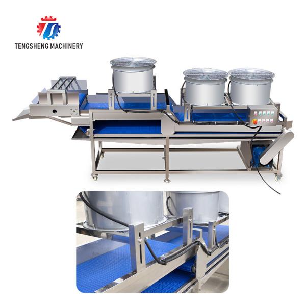 Cheap 380V Stainless Steel Mesh Belt Air Drying Machine for Fruit And Vegetable for sale