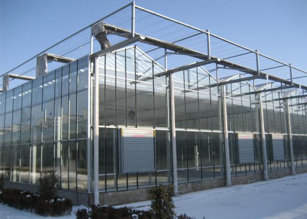 Cheap Venlo Multi Span Polycarbonate Sheet Greenhouse Low Material Consumption for sale