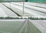 Clear Agricultural Hail Net Hail Protection Net For Apple Trees Hail Guard