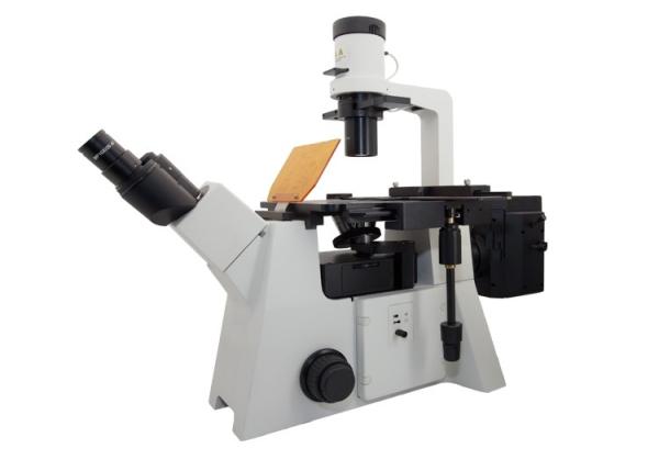 Cheap Trinocular Inverted Fluorescence Microscopes with CCD CAMERA for sale