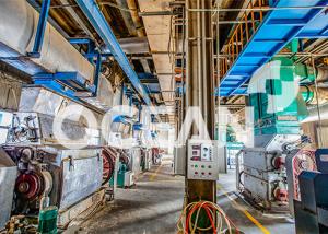 Best Dehulling Edible Oil Pretreatment Plant Oil Pressing Machinery High Efficiency wholesale