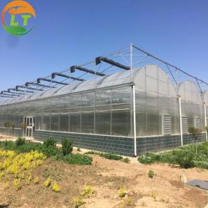 Best Multi-Span Film Chinese Greenhouses Agricultural Hydroponic System and Cooling System wholesale