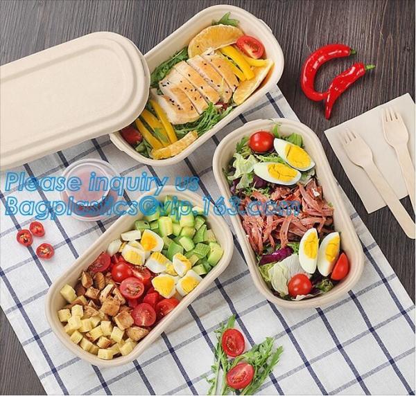transparent pp bento box,lunch box plastic disposable compartment food containers,food,lunch,BBQ,noodles,salad,corn kern