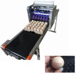 12V 4A Digital Egg Printing Machine , Automatic Batch Code Printing Machine