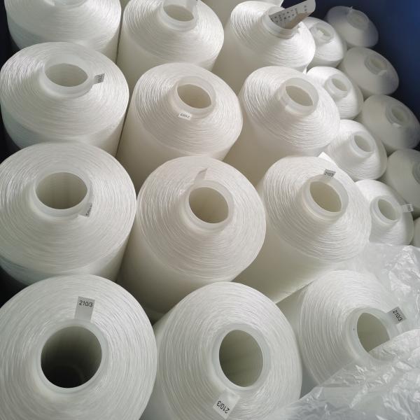 Cheap Chemical Resistant Polyester Continuous Filament Sewing Thread 100D/3 for sale
