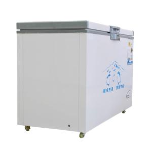 China 14L portable mini fridge car fridge refrigerator home use car fridge freezer on sale