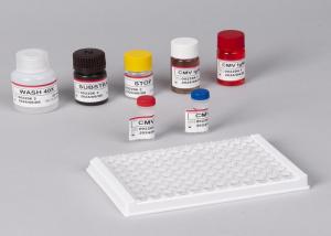 China For Laboratory Or Hospital Use Dia Sino Inhibin B ELISA Test Elisa Test Kit on sale