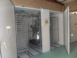 Egg Trolley 30000 Egg Incubator Hatching Machine