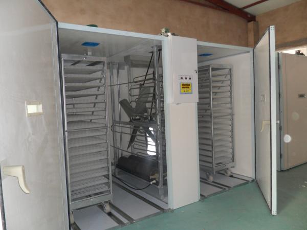Cheap Egg Trolley 30000 Egg Incubator Hatching Machine for sale