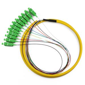 Best SC/APC-NC, LSZH, 0.9mm, 12 Fiber, G.657A2, 1 meter Color-coded Distribute Style Pigtail Packs wholesale