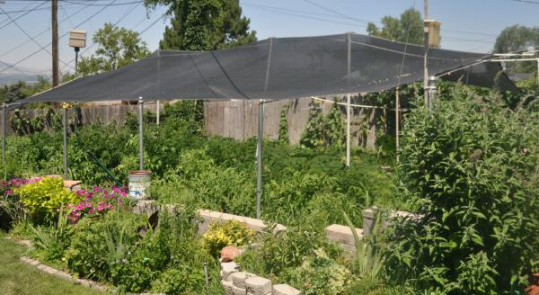 Cheap High Screen Power Garden Shade Netting For Courtyard , Hdpe With Uv for sale