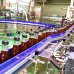 Automatic Jujube Processing Line 50T/H Extraction And Beating