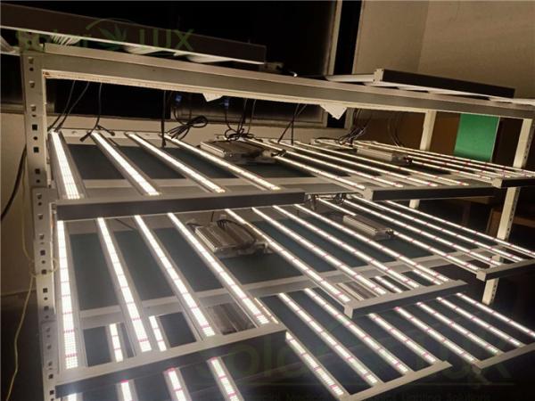 Cheap PWM Led Grow Light Strips for sale