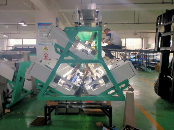 Cheap Automatic Computing Tea Color Sorter Machine 5 Chutes for sale