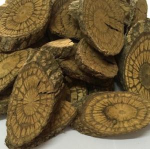 Best Dried Common Jointfir Stem Gnetum parvifolium Warb C Y Cheng ex Chun slices Xiao ye mai ma teng wholesale