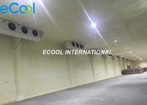 China Low Temperature Industrial Cold Storage Fully Automatic Computer Control on sale