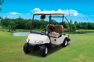 China Left Hand Drive 2 Seats Electric Car Golf Cart With Deep Recycle Batteries on sale