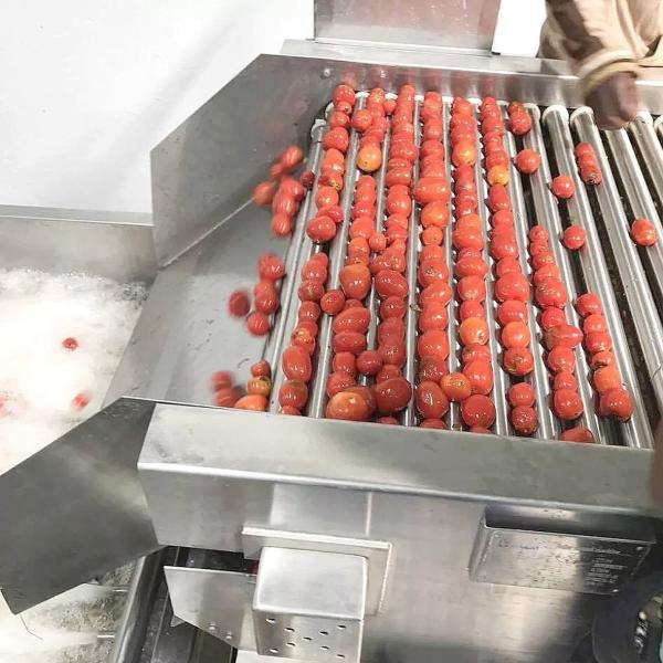 Cheap Industrial Tomato Paste Making Machine Automatic Ketchup Processing Plant for sale