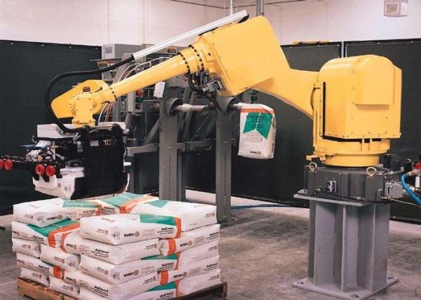 Cheap High Speed Automatic Palletizer Machine , Intelligent Case Palletizer Easy Operation for sale