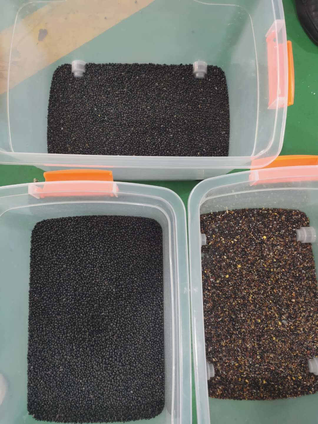 Wenyao High Capacity SoyBeans Cocoa Beans Peanuts Color Sorting Machine