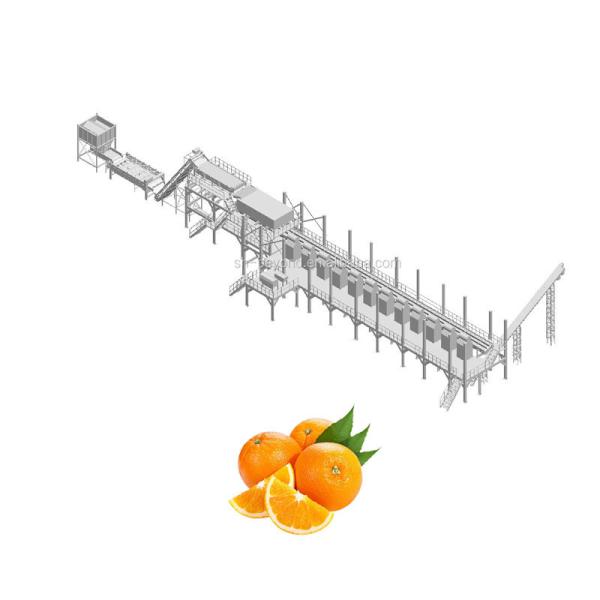 Cheap 10TPH Automatic Orange Juice Extract Orange Processing Line For Juice Making Factory for sale