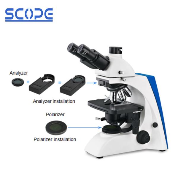 Cheap Simple Polarizing Laboratory Biological Microscope , Discovery Biological Microscope for sale