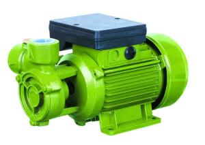 Electric Water Pumps For Houses , Vortex Water Pump For Hotel Using 0.75HP