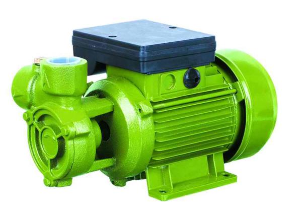 Cheap Electric Water Pumps For Houses , Vortex Water Pump For Hotel Using 0.75HP for sale