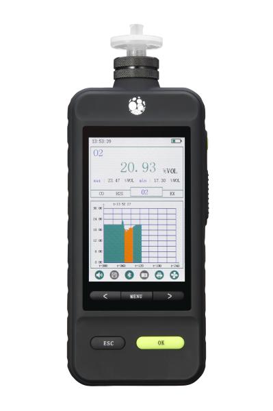 Cheap Handheld Pumping O2 Single Gas Detector With Flash Light Function Color Screen for sale