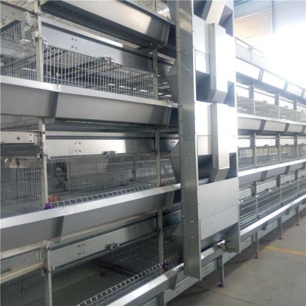 Cheap Fast Poultry Farm Feed Machine , Automated Poultry Equipment Simple Structure for sale