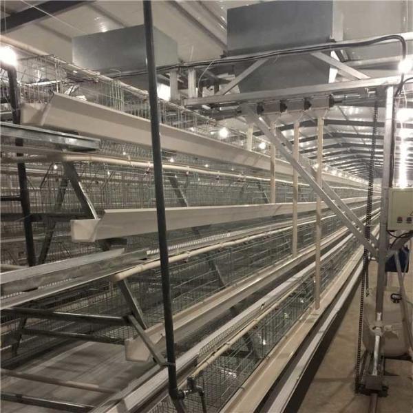 Cheap Large Scale Farm Automatic Poultry Feeder System Quick Conveying Speed for sale