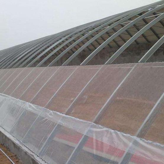 Cheap Durable Use Agriculture Shade Netting, UV Treated Insect Net, Olive Collecting Net for Fruits for sale