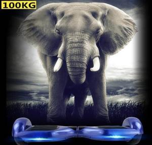 China Hoverboard scooter two wheels  self balancing scooters Onewheel drifting scooter GK-F9 on sale