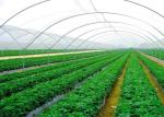 High Efficiency Customized Insect Mesh Netting 80% Windbreak Value