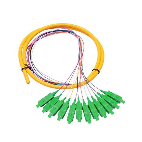 Cheap 12 Core SC APC single mode distribution  Fiber Optic Pigtail For Telecommunication Networks for sale