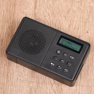 Mini DAB+ Digital Radio DAB+ Clock Radio With LCD Display