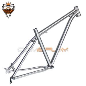 China 27.5er 26er Titanium Mtb Bike Frame PVD Matte Polish Surface Treatment on sale
