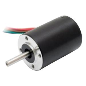China Mini 33mm Variable Speed 10000 Rpm Brushless Dc Motor With Hall Sensor on sale