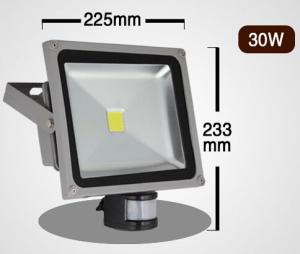 Best 30W motion sensor led flood light with die casting aluminum black grey housing new fixture wholesale